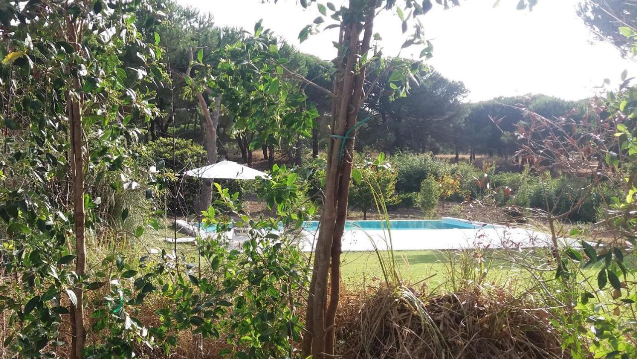 Casa Rio Da Prata Villa Aldeia do Meco Eksteriør billede